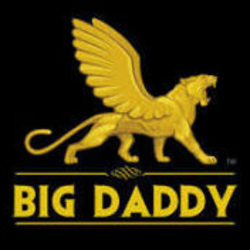 big daddy apk download